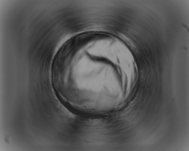 X0000091911334200709191312