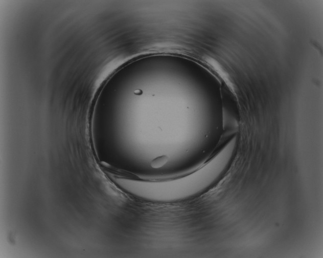 X0000091911336200709191312