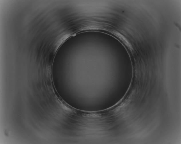 X0000091911337200709191312