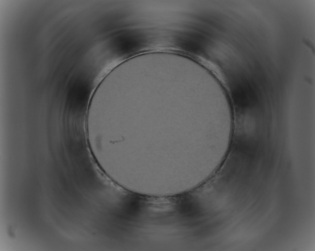 X0000091911338200709191312