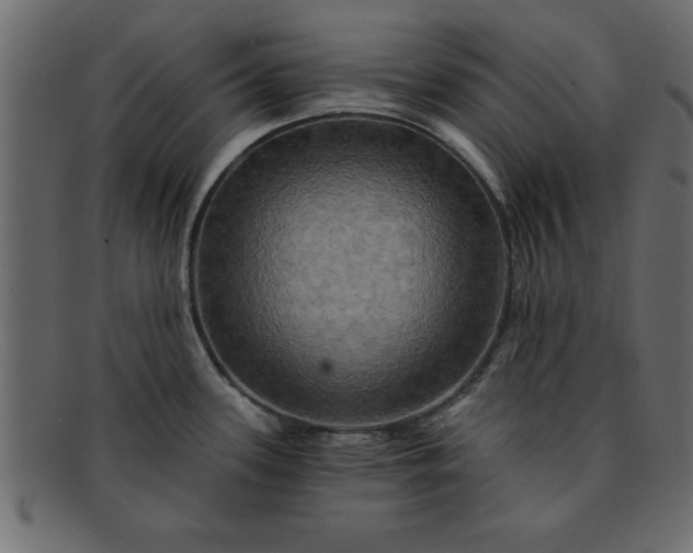 X0000091911339200709191312