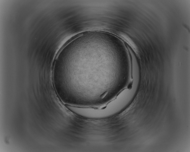 X0000091911340200709191312