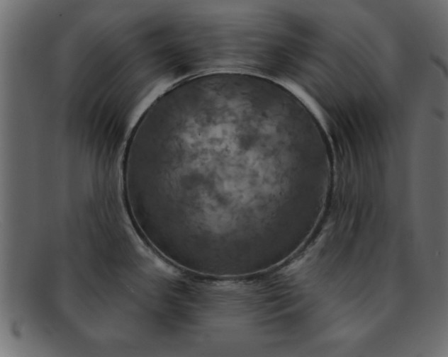 X0000091911341200709191312