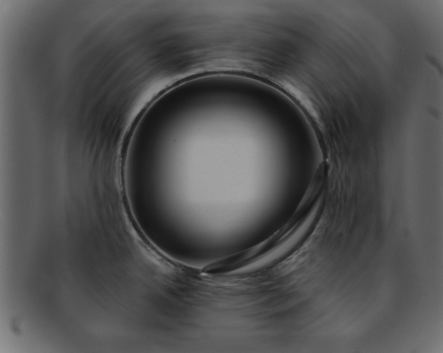 X0000091911342200709191312