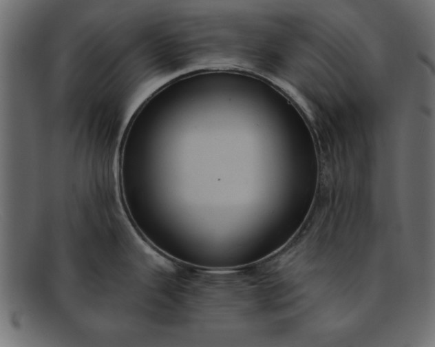 X0000091911343200709191312