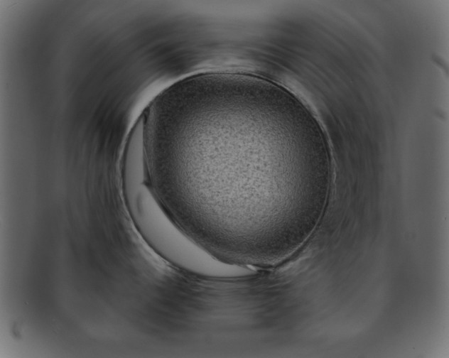 X0000091911344200709191312