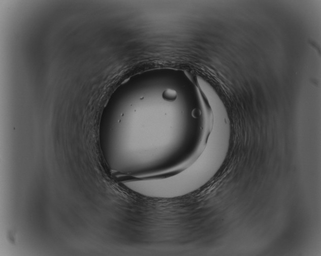 X0000091911345200709191312