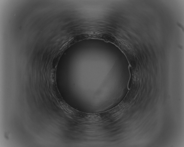 X0000091911346200709191312