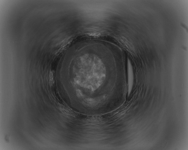 X0000091911347200709191312