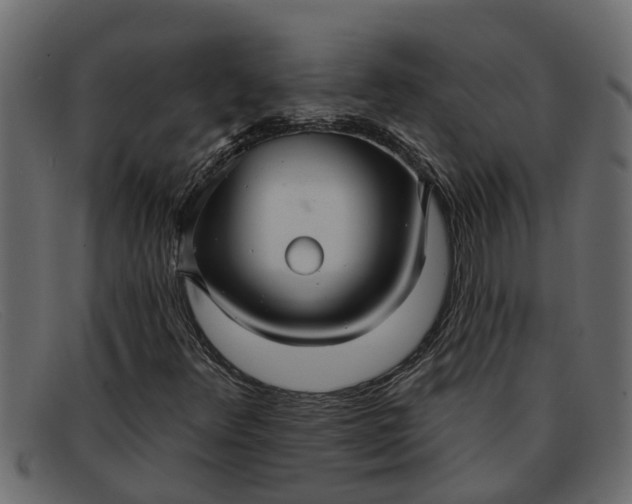 X0000091911348200709191312