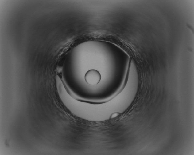 X0000091911349200709191312