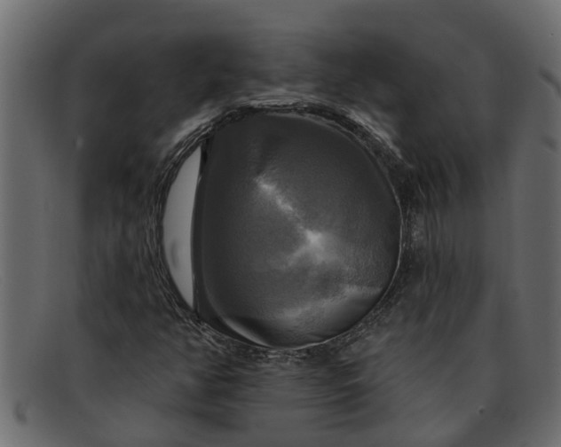 X0000091911350200709191312