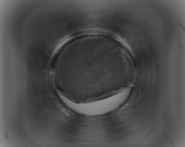 X0000091911352200709191312