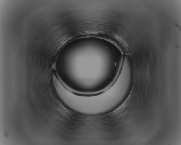 X0000091911353200709191312