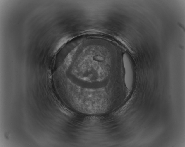 X0000091911355200709191312