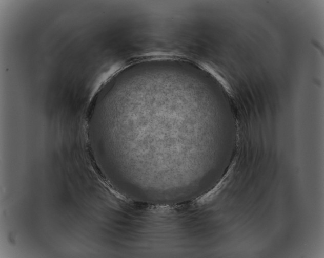 X0000091911357200709191312