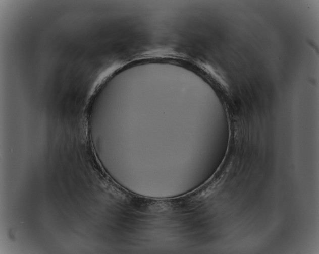 X0000091911358200709191312