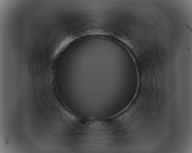 X0000091911359200709191312