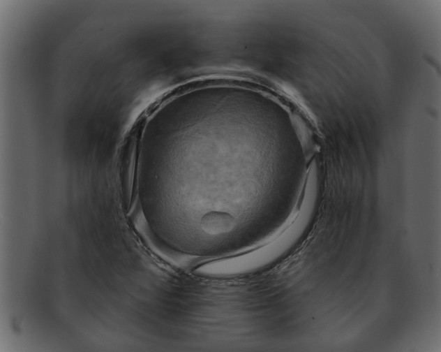 X0000091911360200709191312