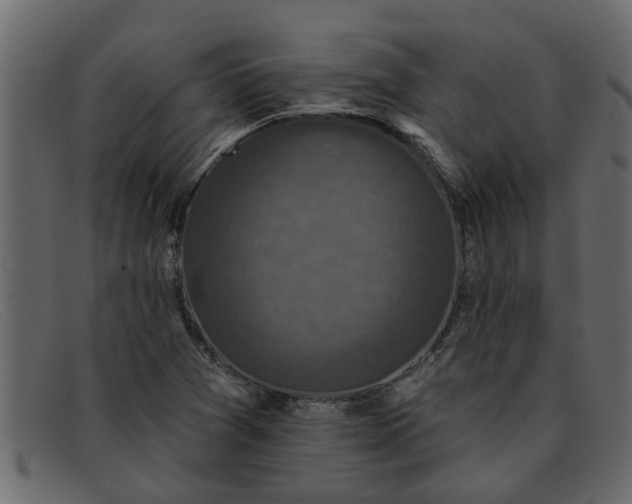 X0000091911361200709191312