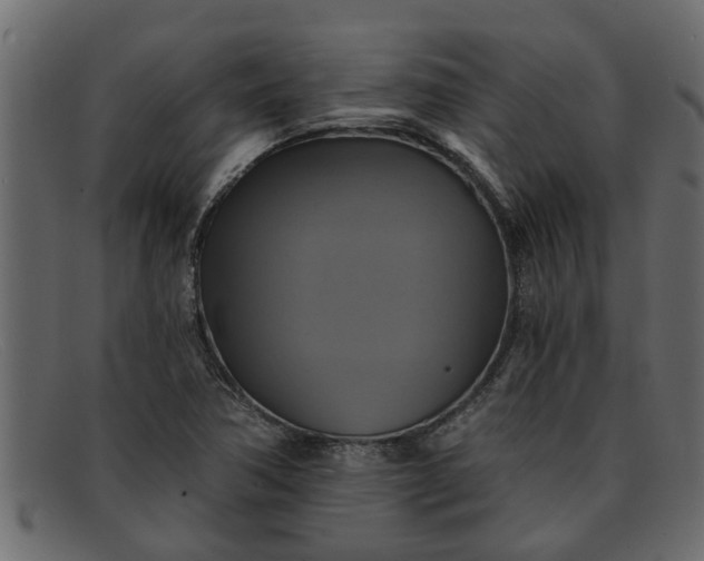 X0000091911362200709191312