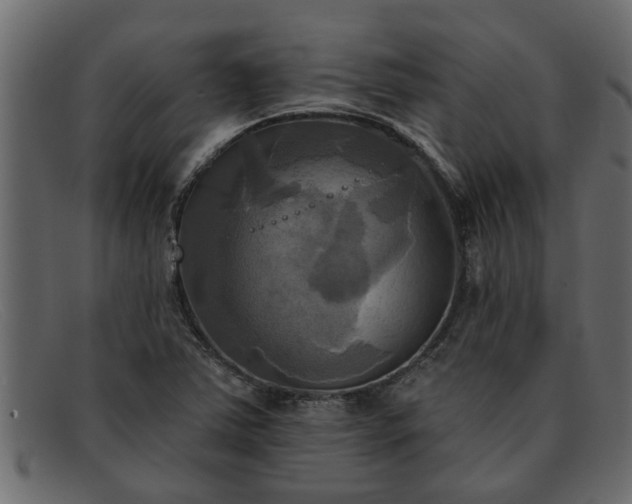 X0000091911363200709191312