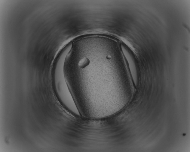 X0000091911364200709191312