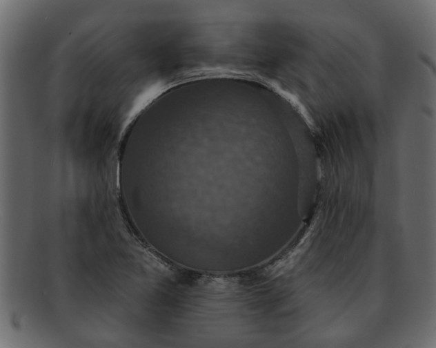 X0000091911365200709191312