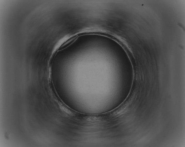 X0000091911366200709191312