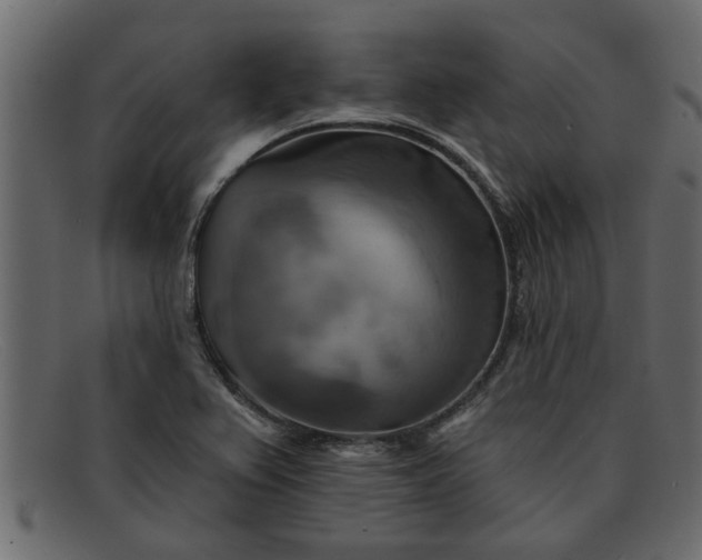 X0000091911367200709191312