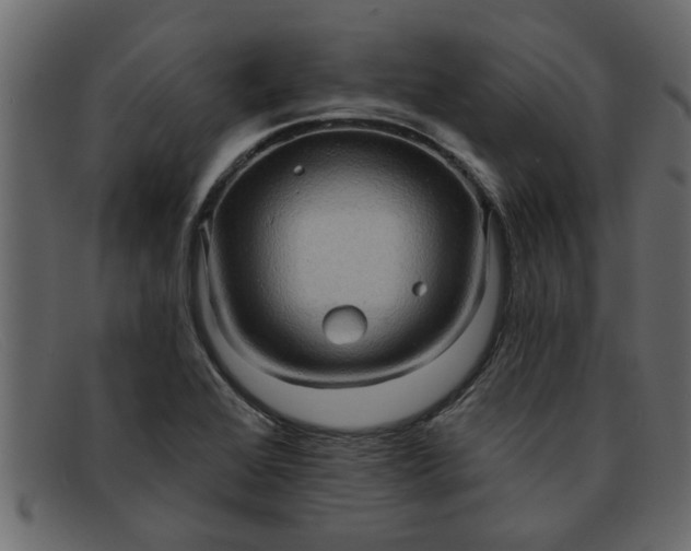 X0000091911368200709191312