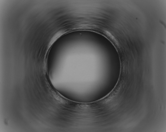 X0000091911370200709191312