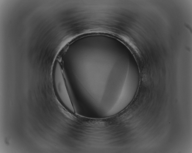 X0000091911372200709191312