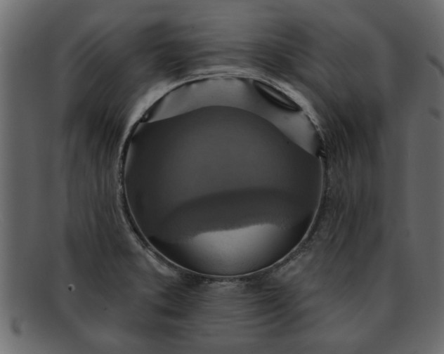 X0000091911373200709191312