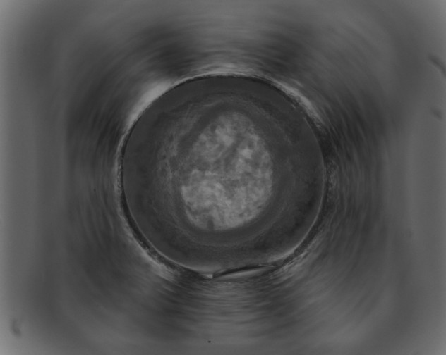 X0000091911375200709191312