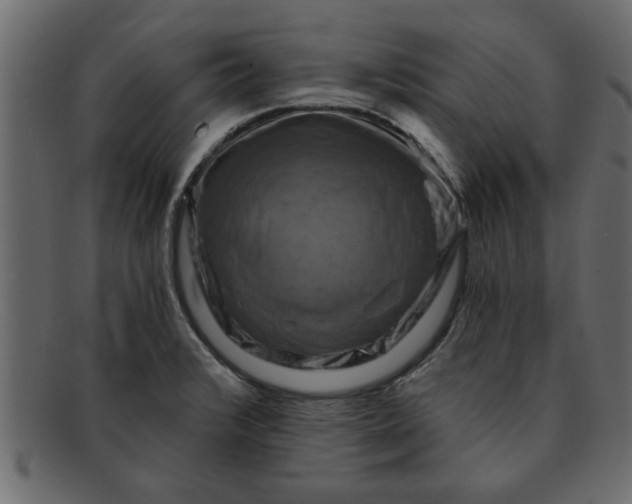 X0000091911376200709191312