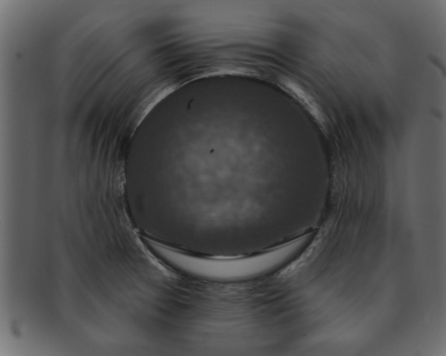 X0000091911377200709191312