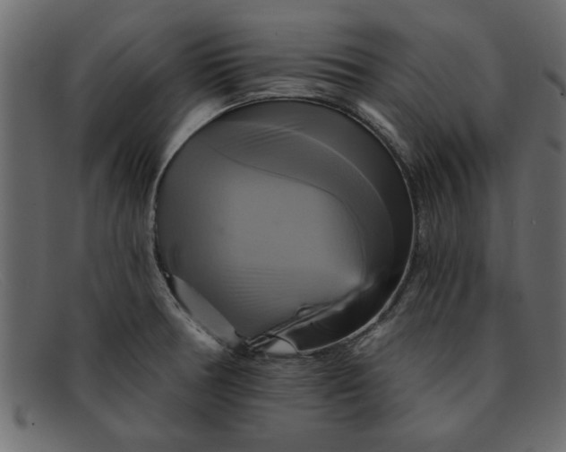 X0000091911378200709191312