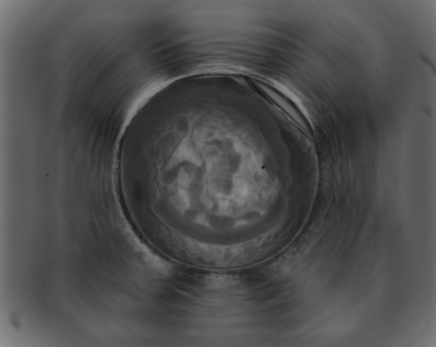 X0000091911379200709191312