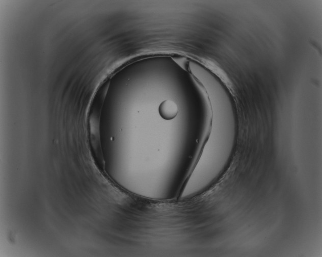 X0000091911380200709191312