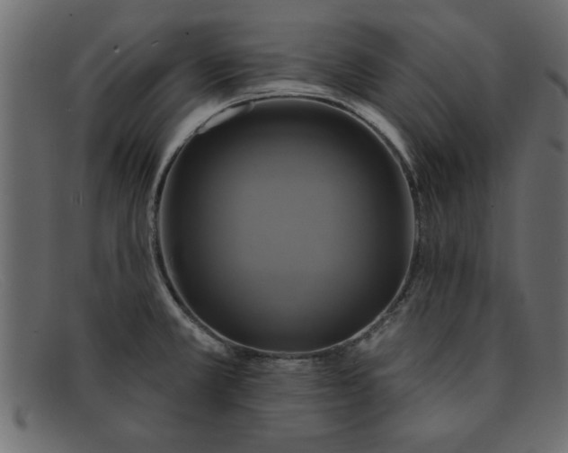 X0000091911381200709191312