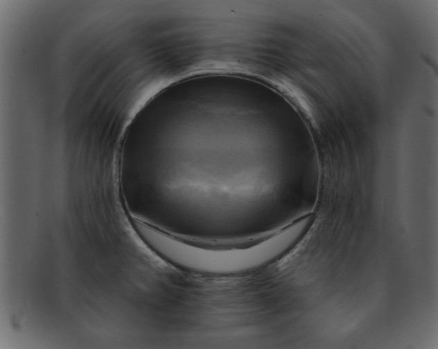 X0000091911382200709191311