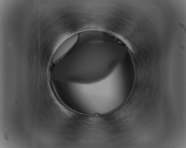 X0000091911383200709191311