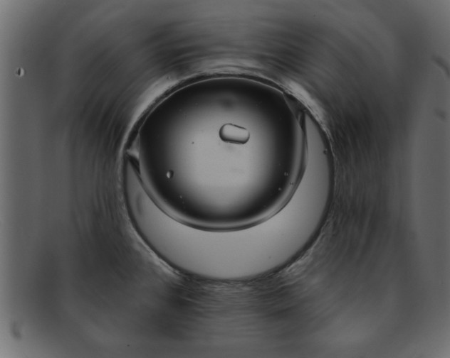 X0000091911384200709191311