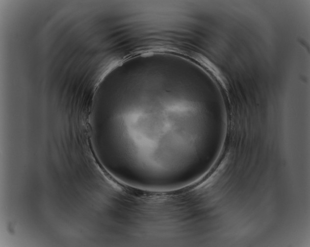 X0000091911385200709191311