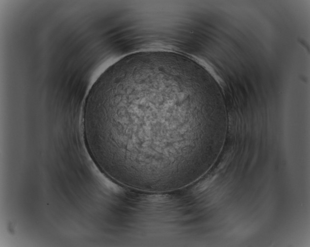 X0000091911387200709191311