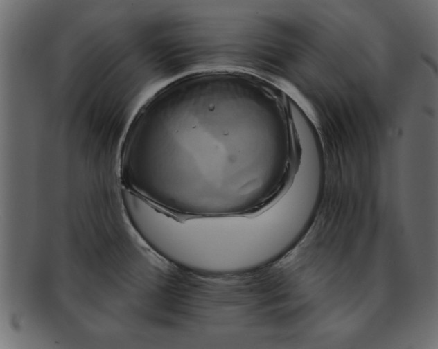 X0000091911388200709191311