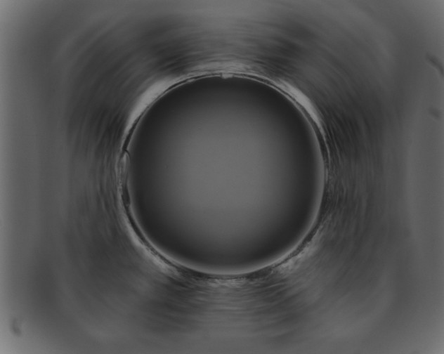 X0000091911389200709191311