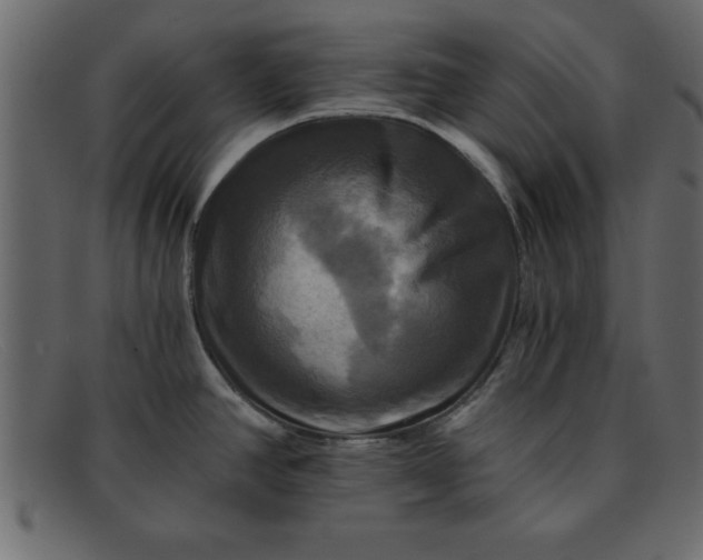 X0000091911390200709191311