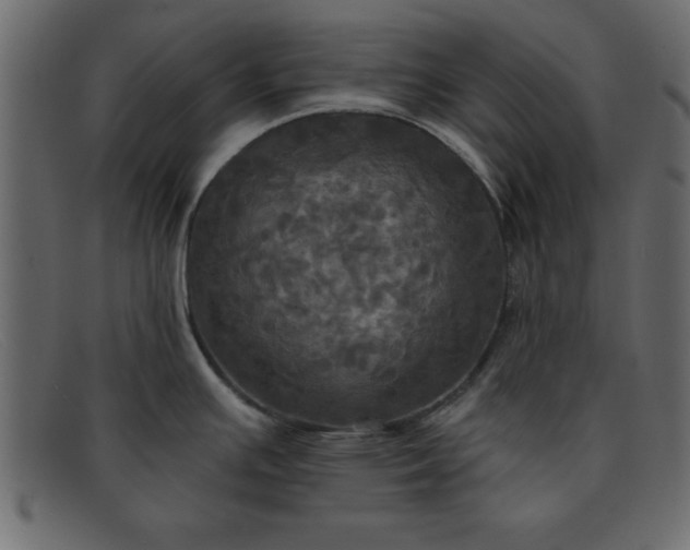 X0000091911391200709191311